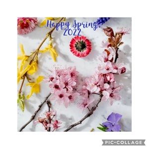 Happy Spring 2022 🌺